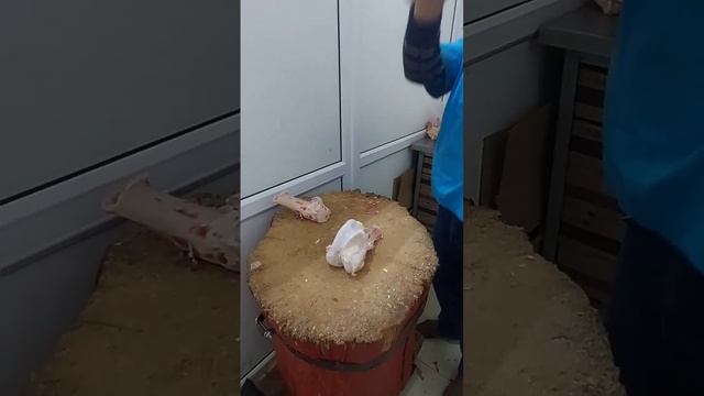 A46b54804a9c63997a5d17737efd6a94