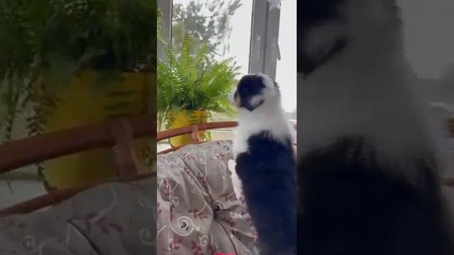 012480c5b8fd6d5394f1f4427c3144e5