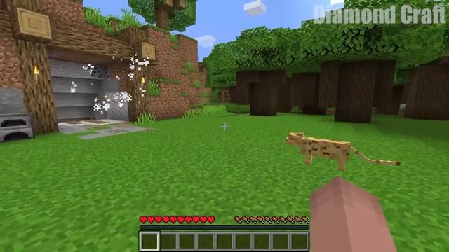 Ba9cd5840f3ff8fd972c2f5a15a3180f