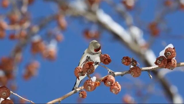 A8e7cd2ddb08aafae4ae27a5a903fd0b