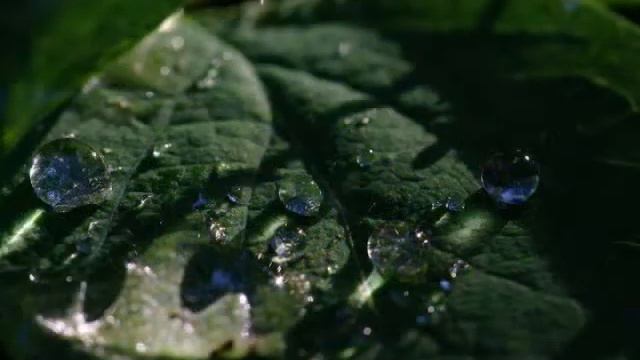 Звездная страна.avi