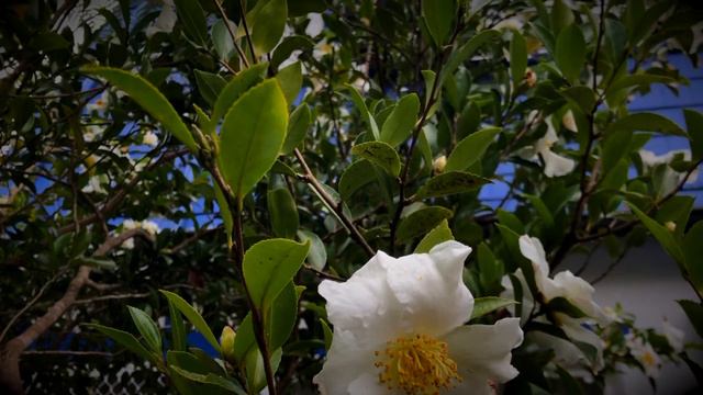 04c71ebda21833d967174eaebaf60852