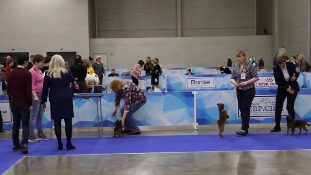 44c41d8b341edddc06e07c66a5b54569