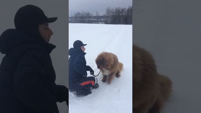 51d17e138556b99b1258bc5fb6f73976