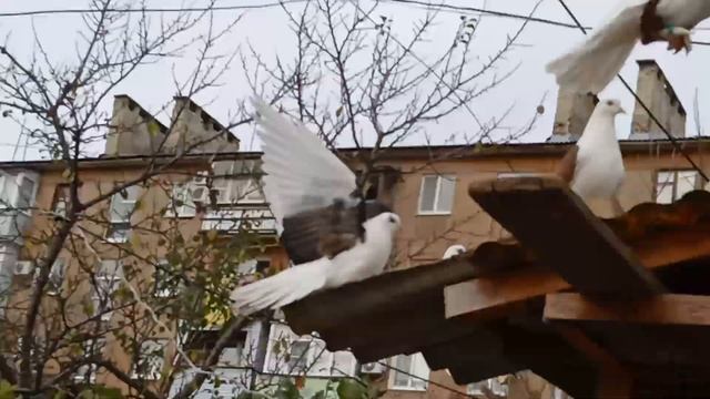 11 ноябр.Полетали.Минус 1.