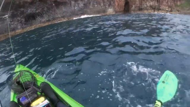 3 Species Softbait Challenge 2023 - My First Kayak Fishing Competition