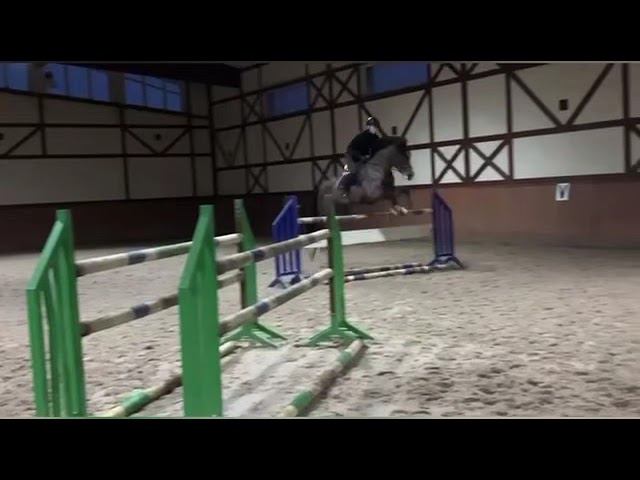 Contissima - 2014 ( Conte Bellini - Potential)