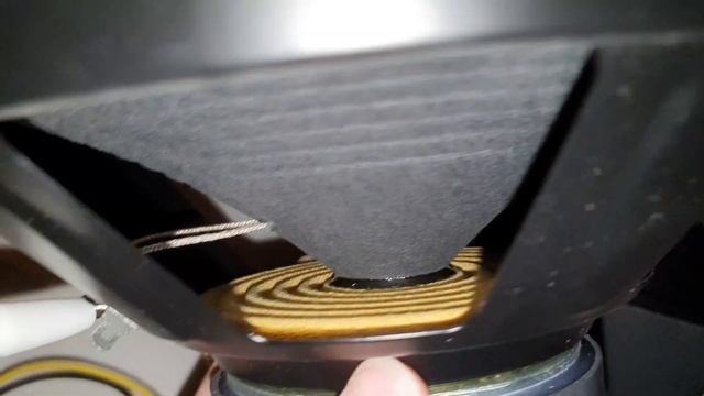 aucustic audio PSW-10 subwoofer driver 