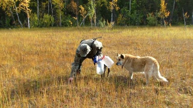 поход за клюквой