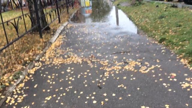 Выход от театра кукол на улицу Степана Разина. Орёл.