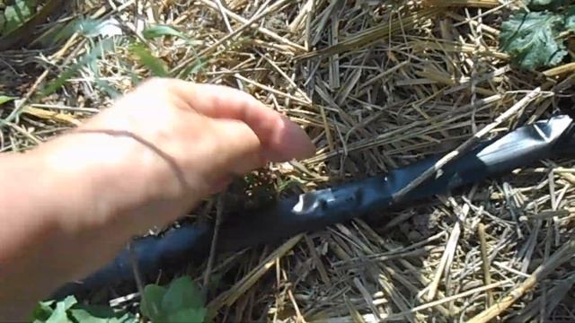 Капельный полив трёх видов.