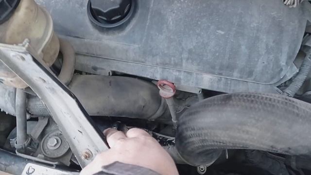 Fiat: моды и тренды