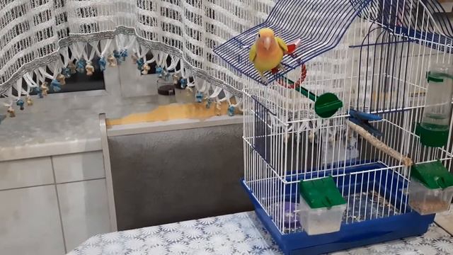 007ce6631406cb229f1485039858aa82