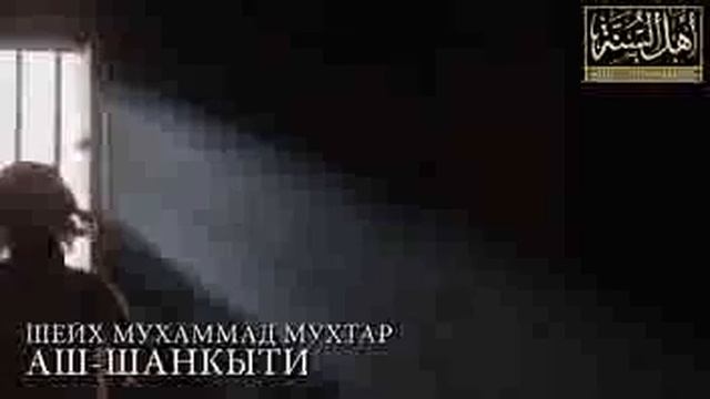 Ночная молитва - Шейх Мухаммад Мухтар Аш Шанкыти