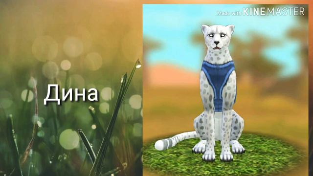 ТРЕЙЛЕРДикий отряд 0278 Wildcraft