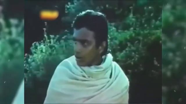 Индия: Как живет Митхун Чакраборти и сколько он зарабатывает/How Does Mithun Chakraborty Live. В HD