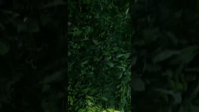 46ad3e6d8a9bbc2abb19d6cd0f94abcf