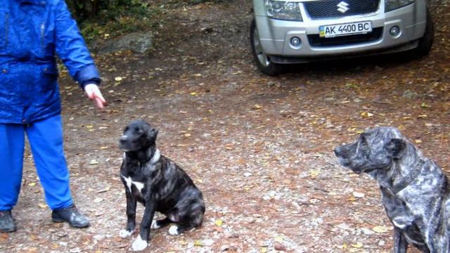 Прогулка 16 октября 2011 г.