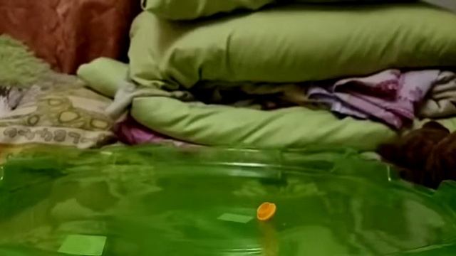 Распаковка Инфинити Надо