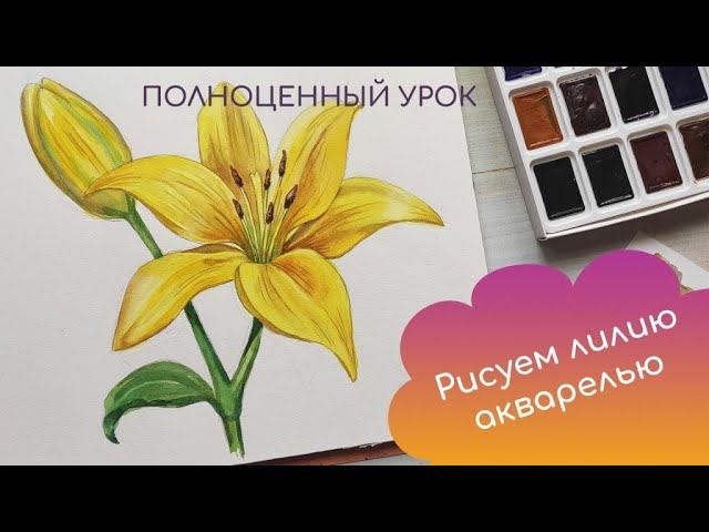 3a0092cea5e771d8d5354dffb5eed9c2