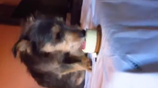 Richie's First Birthday