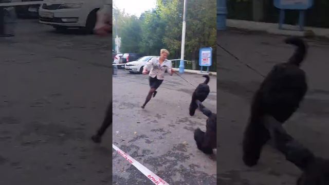 14 октября 2017 г.