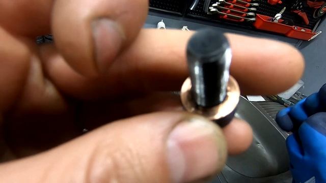 Скорость и мощь: испытания на трассе