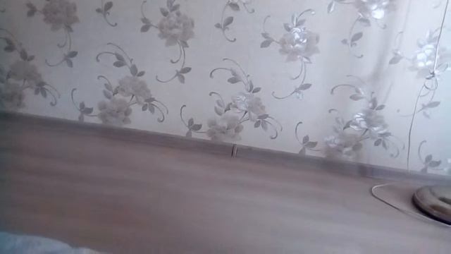 Вызов духов / вызов губка боба /опровергли миф /