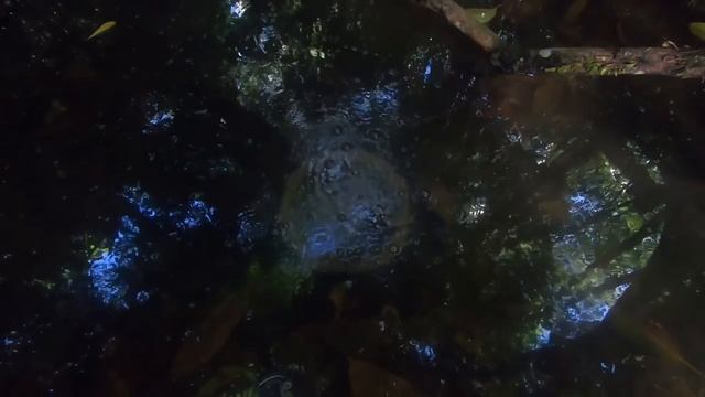 Primitive Technology_ Pot Made Of Wood Ash - New Clay Alternative