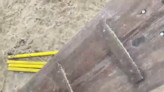 26.12.2022. Кинологи в приюте для бездомных животных 