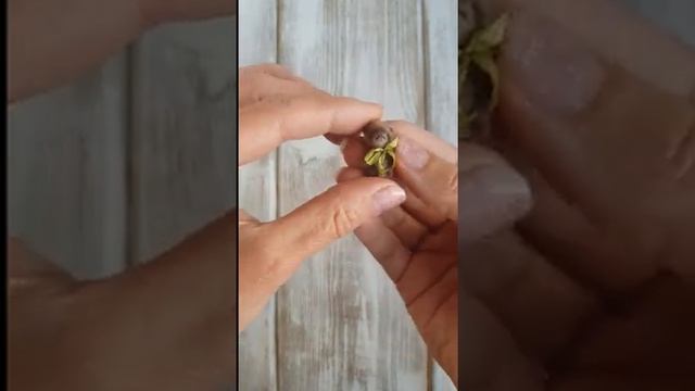 Miniature Bear In Avocado. Мишка в авокадо.