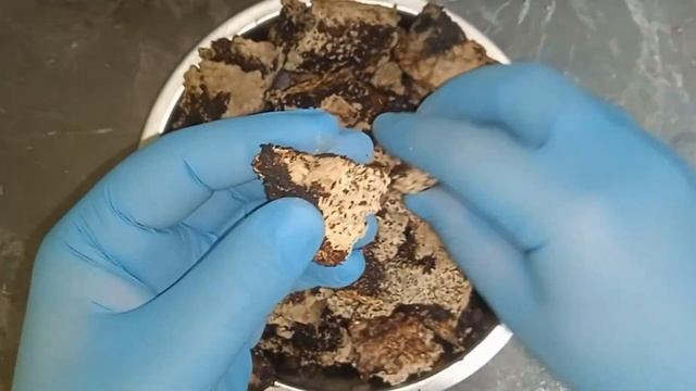 Грибная ферма 