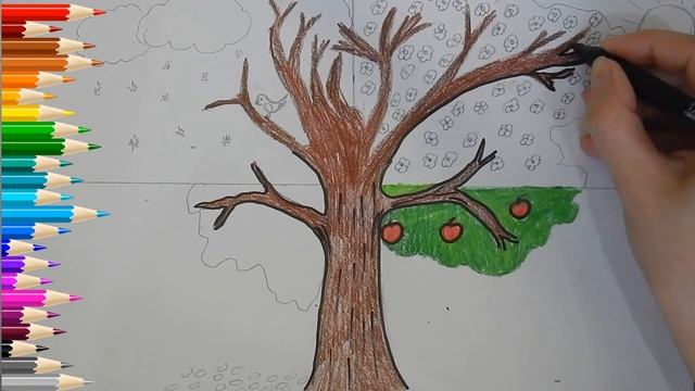 Дерево 4 пори року. Пори року.