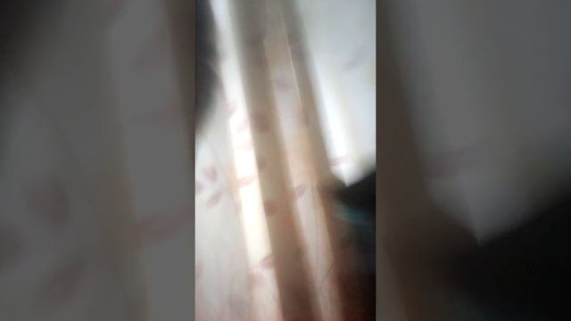 C3facdeb0de17394e71b3aa2b9a2fa75