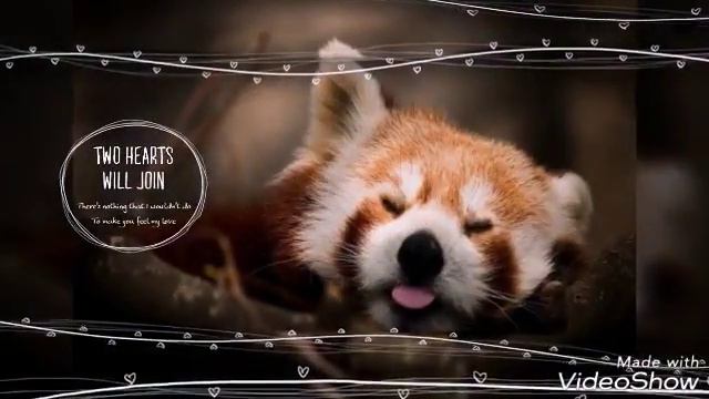 Красивая природа и животные