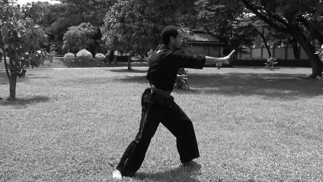 Silat Vs Panantukan