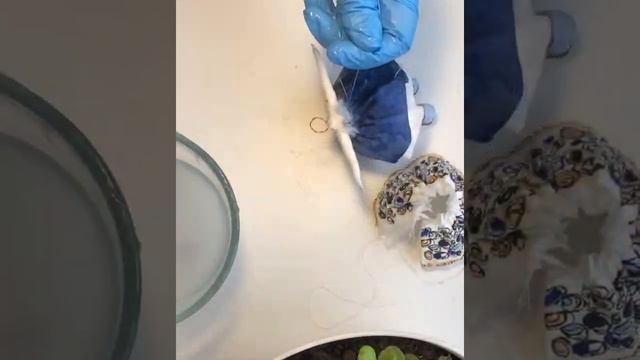 МК «Ватная игрушка»