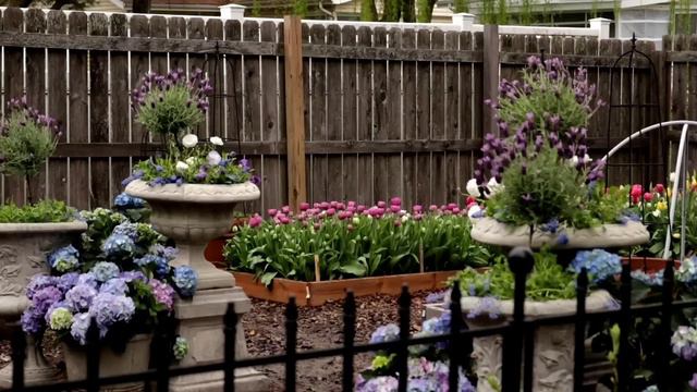 MY GARDEN THROUGHOUT 2022 TRANSITION FROM THEN TO NOW /Garden Queen