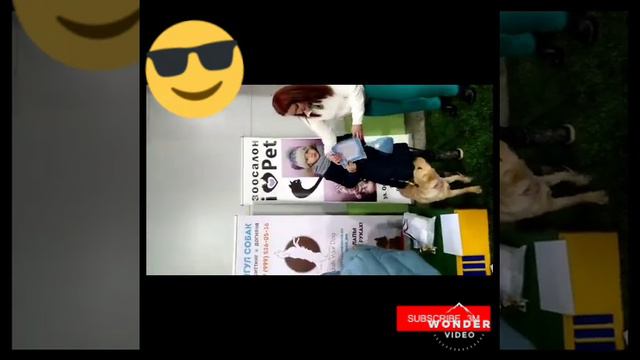 C86c03ccb3c242f6e72770595d68e895