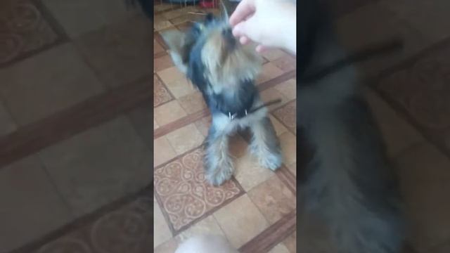 9f6b8c26cb6ee516b94e536c973eaab7