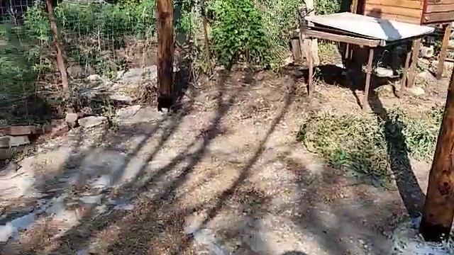 Деревянный навес - стойки