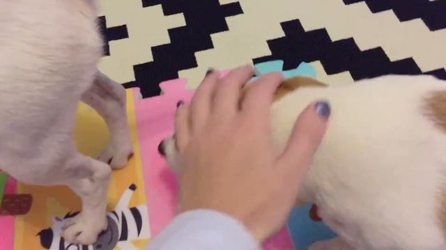 злюка Пенни