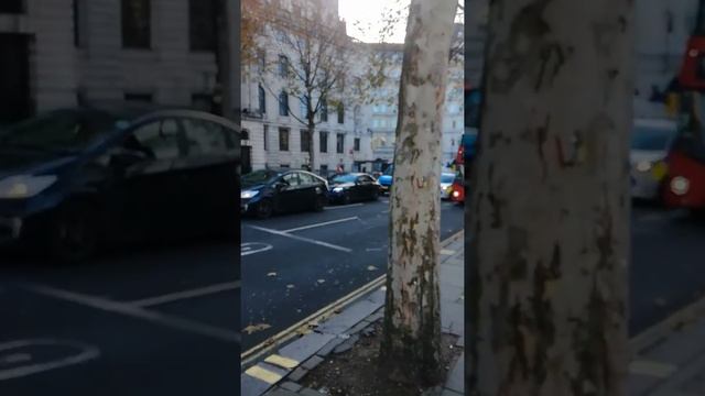 Нельсон Трафальгарская площадь