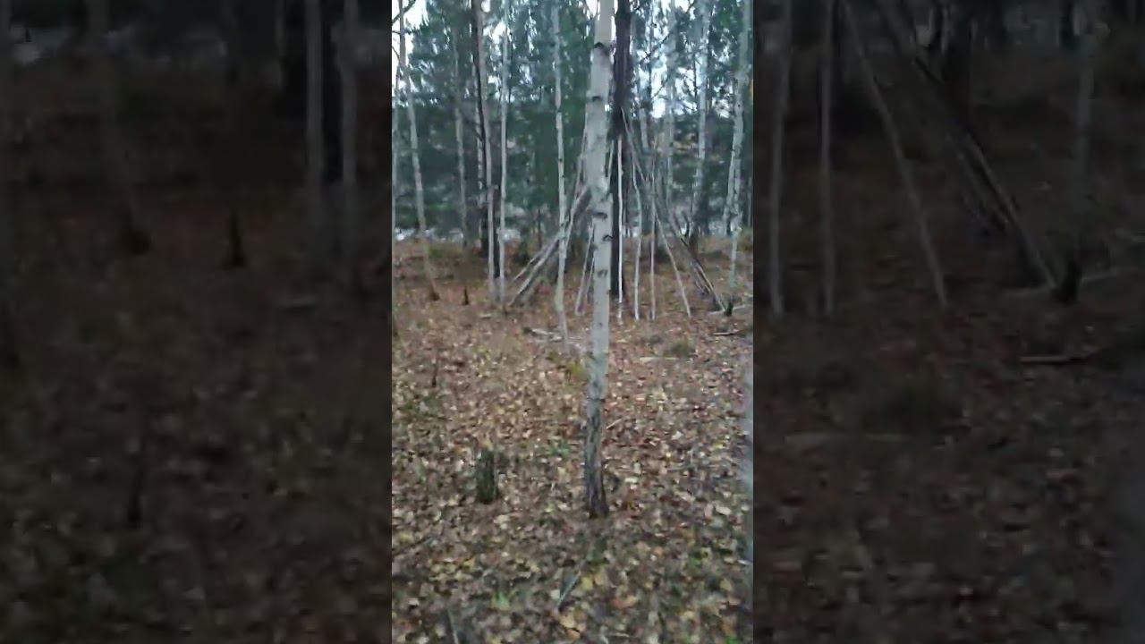 Беспощадный бушкрафт #shorts