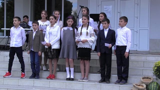 Ecb3afdaca0781256ffda2e28338c602