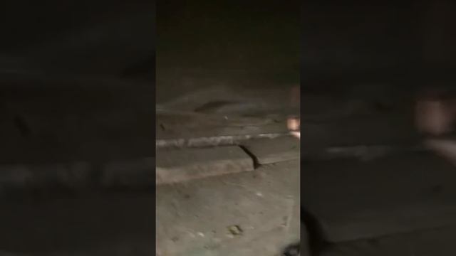 Установка сетки радиатора на Солярис 2017