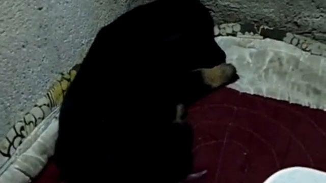 Samsung WB100 Video Test