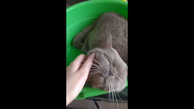 0e943ceb12352823e927d8fb48f85fec