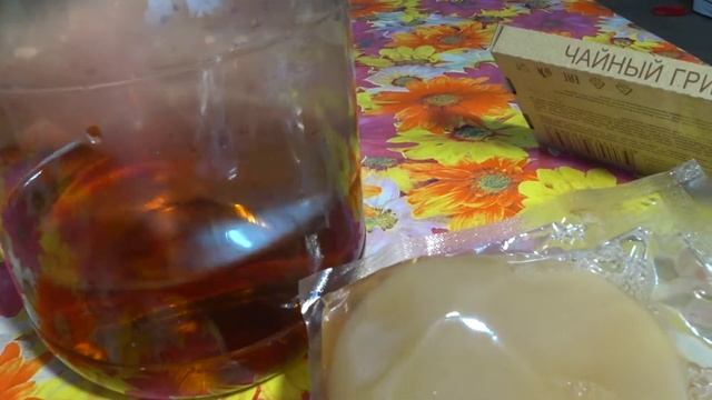 Чайный гриб с нуляиз магазина.