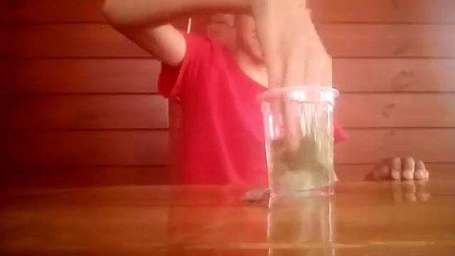 40f8c018184be947d5dc5a223ad71db0